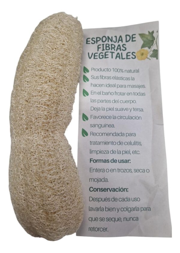 Esponja Vegetal Loofa Grande Sangar - Imagen 2