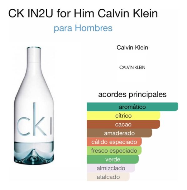 Perfume Calvin Klein Ck In 2 U Him Edt 100ml - Image 4