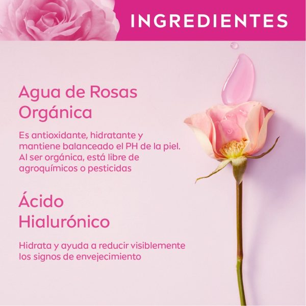 Crema Facial Hidratante En Gel Nivea Rose Care 50 Ml Momento De Aplicación Día/noche Tipo De Piel Todo Tipo De Piel - Imagen 5