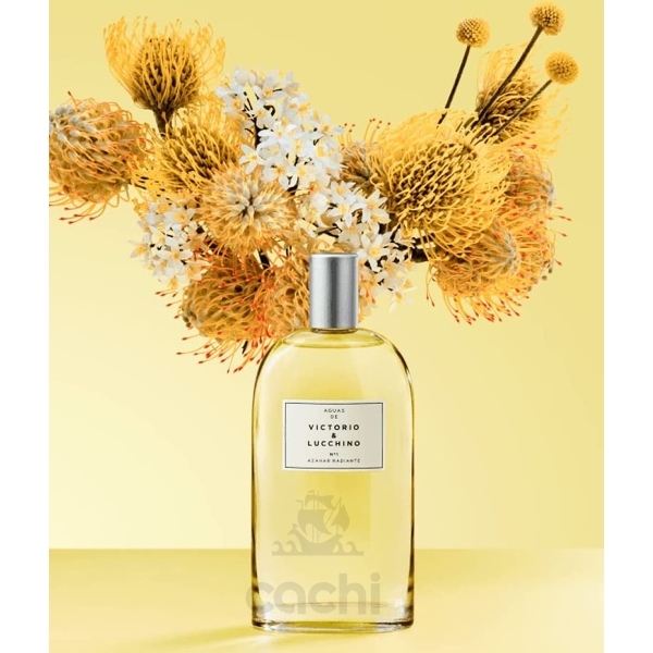 V&l Water 1 Fem Edt 150 Ml - Imagen 2
