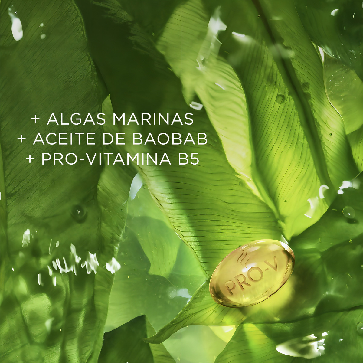 Acondicionador Hidratante Pantene Raíz Y Puntas 250 Ml - Imagen 5