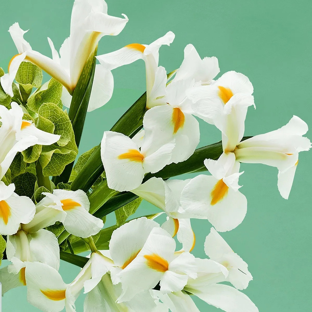 Agua De Colonia Victorio & Lucchino Iris Luminoso Nº3 - Imagen 7